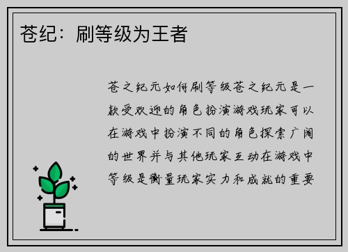 苍纪：刷等级为王者